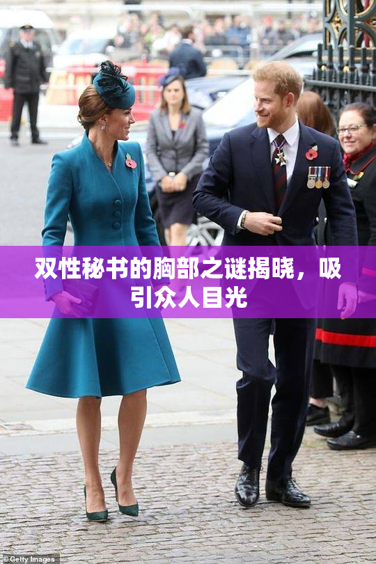 双性秘书的胸部之谜揭晓，吸引众人目光