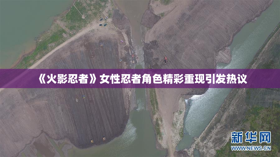 《火影忍者》女性忍者角色精彩重现引发热议