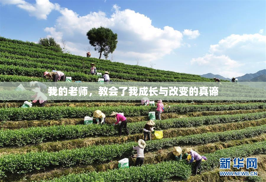 我的老师，教会了我成长与改变的真谛