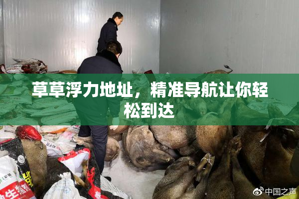 草草浮力地址，精准导航让你轻松到达