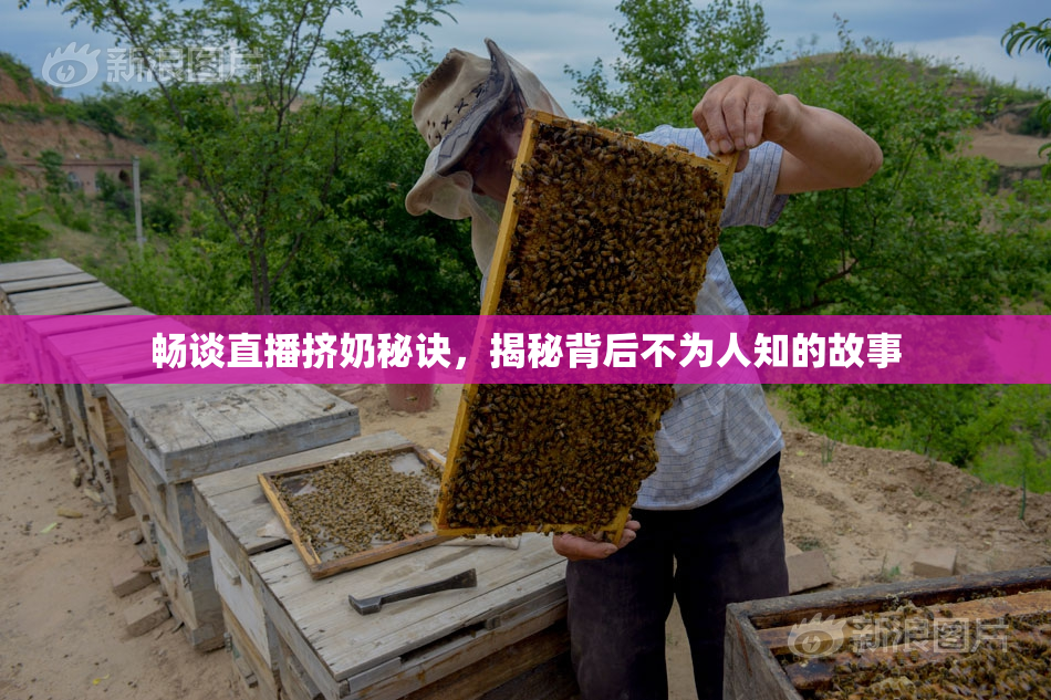 畅谈直播挤奶秘诀，揭秘背后不为人知的故事
