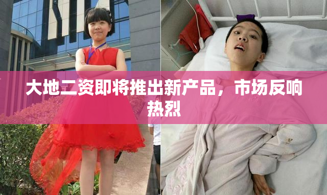 大地二资即将推出新产品，市场反响热烈