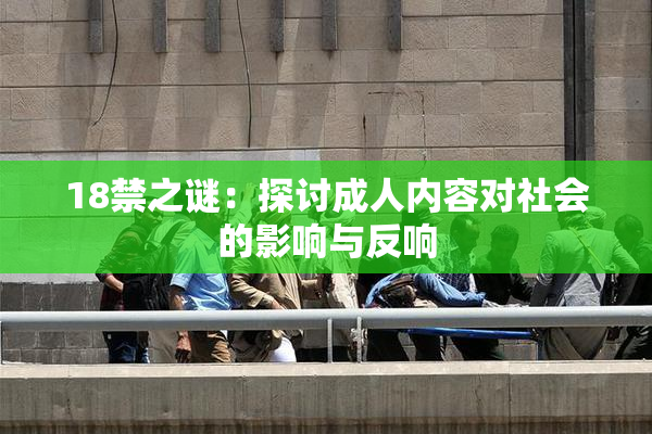 18禁之谜：探讨成人内容对社会的影响与反响