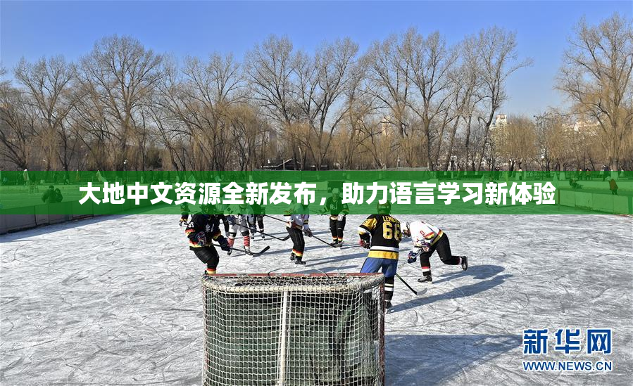 大地中文资源全新发布，助力语言学习新体验