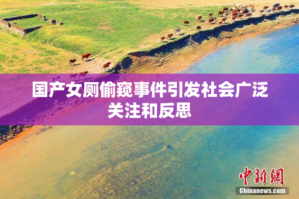 国产女厕偷窥事件引发社会广泛关注和反思