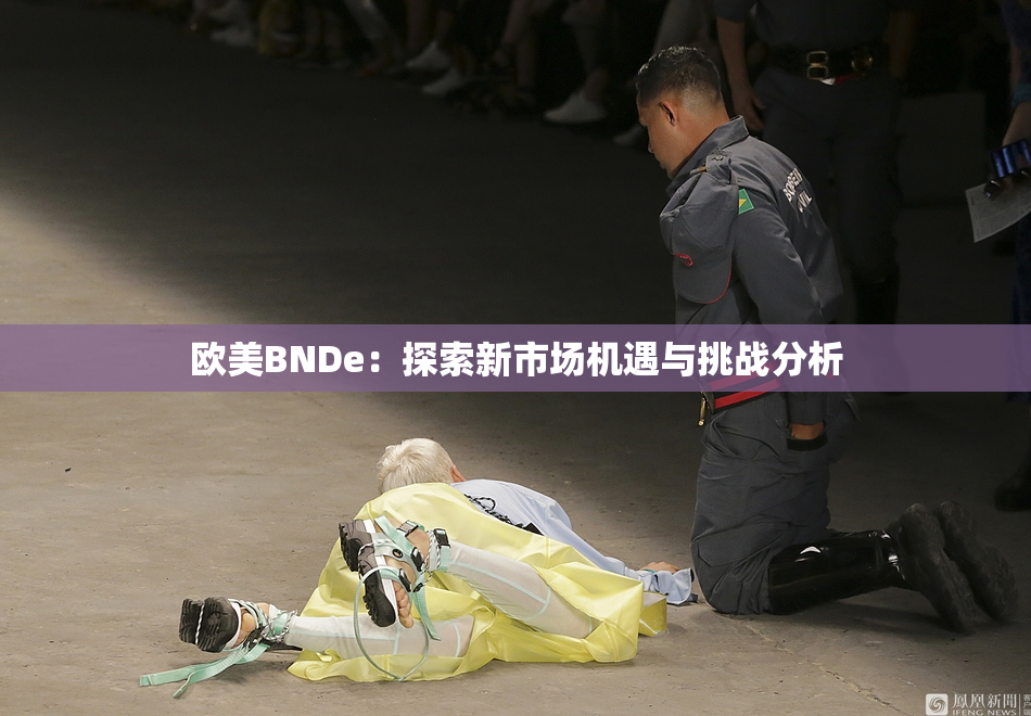 欧美BNDe：探索新市场机遇与挑战分析