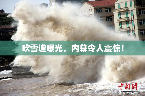 吹雪遭曝光，内幕令人震惊！