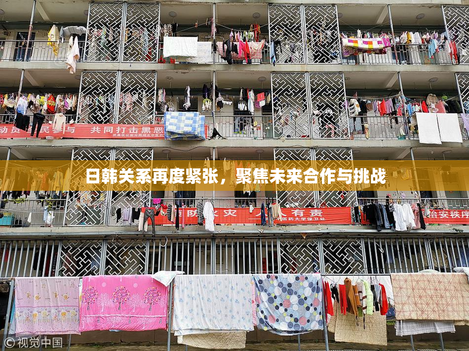日韩关系再度紧张，聚焦未来合作与挑战
