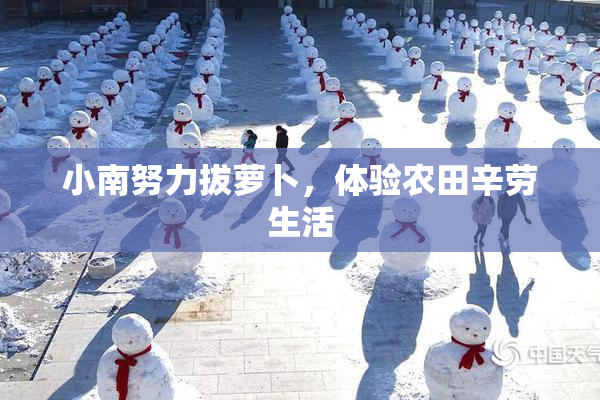 小南努力拔萝卜，体验农田辛劳生活