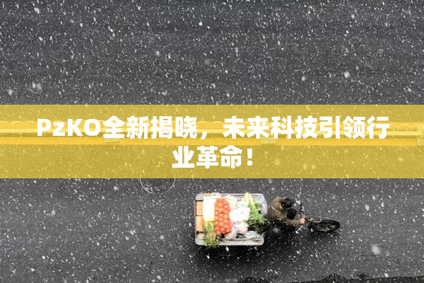 PzKO全新揭晓，未来科技引领行业革命！