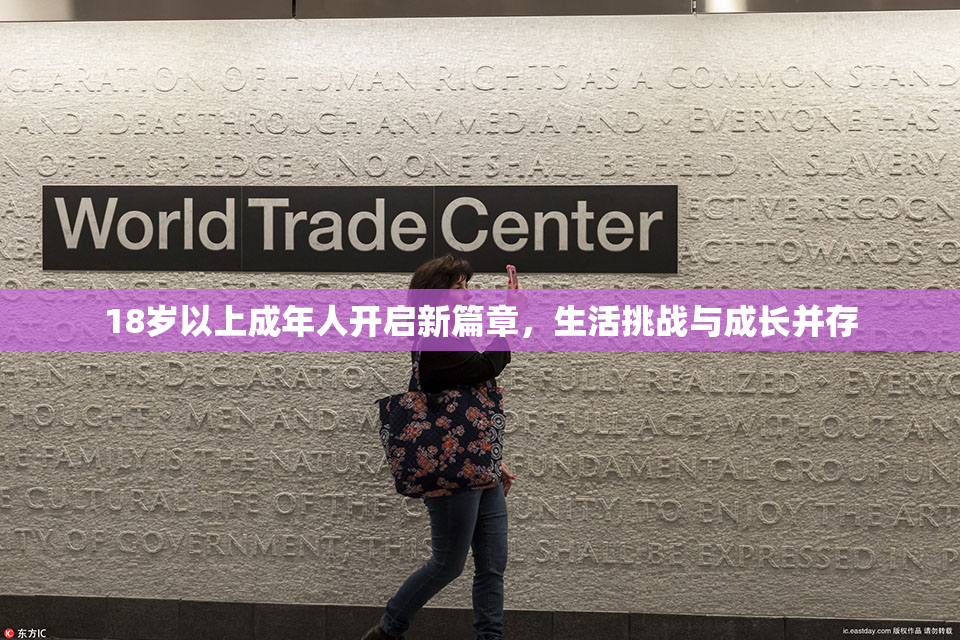 18岁以上成年人开启新篇章，生活挑战与成长并存