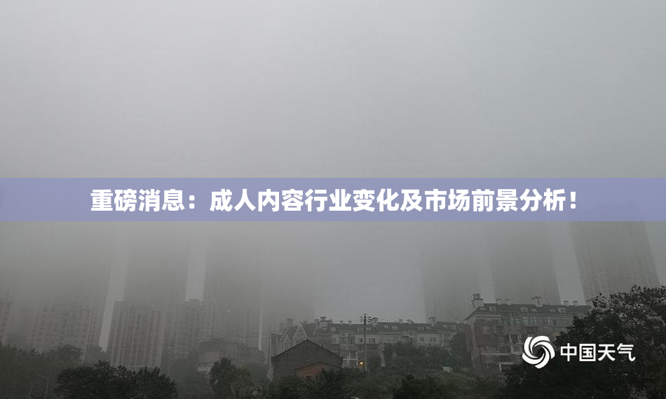 重磅消息：成人内容行业变化及市场前景分析！