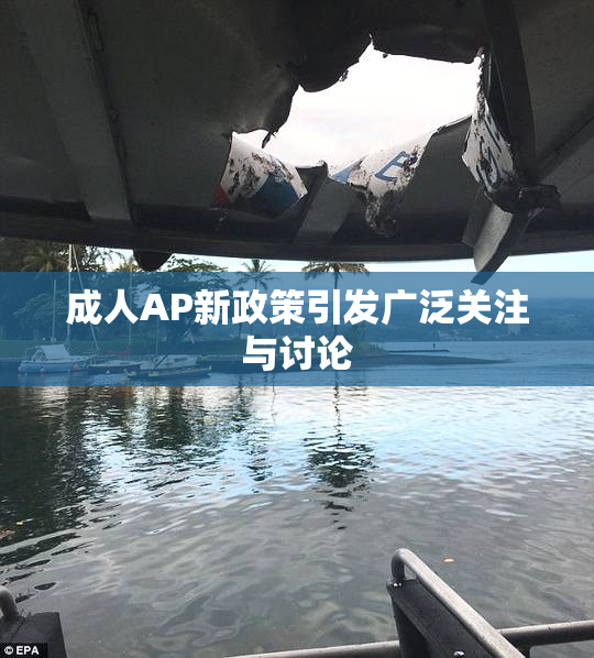 成人AP新政策引发广泛关注与讨论