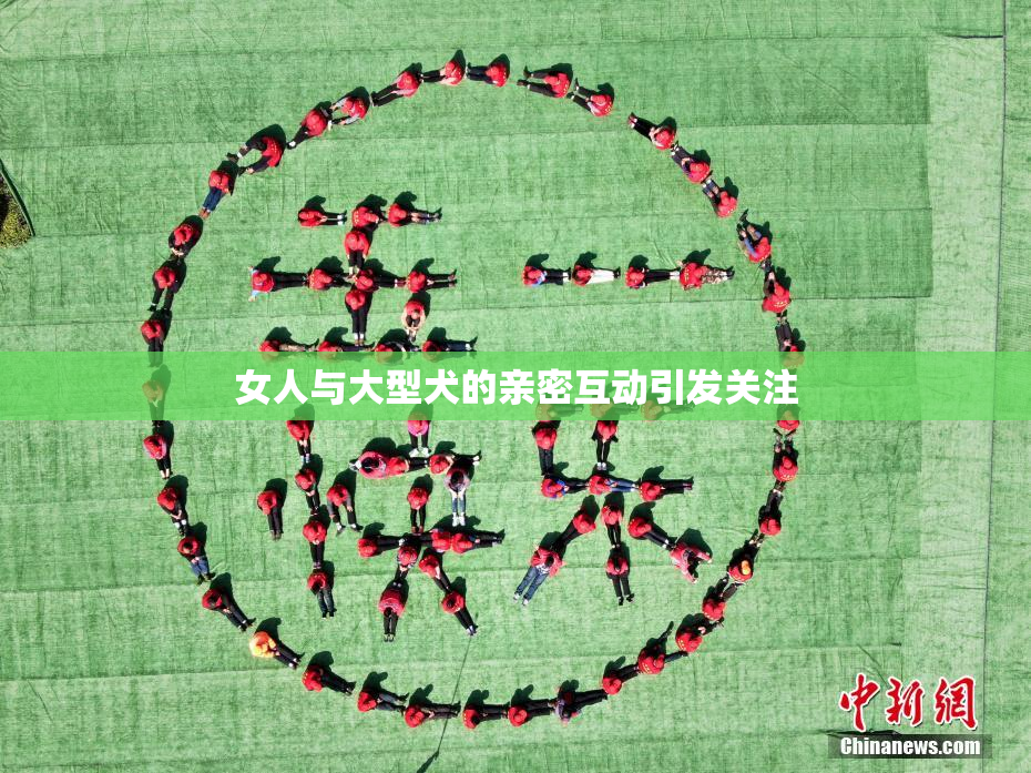 女人与大型犬的亲密互动引发关注