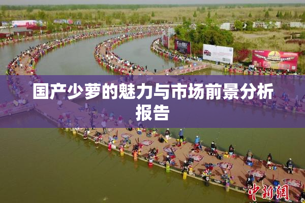 国产少萝的魅力与市场前景分析报告