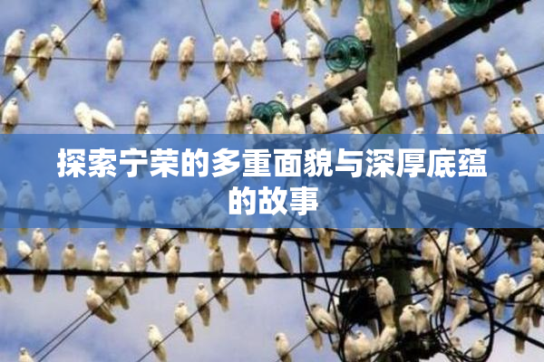 探索宁荣的多重面貌与深厚底蕴的故事