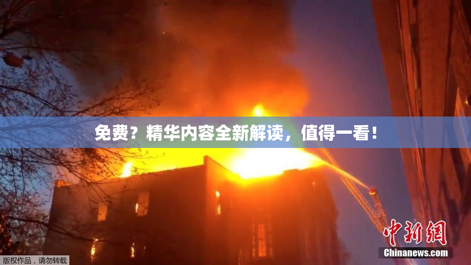 免费？精华内容全新解读，值得一看！