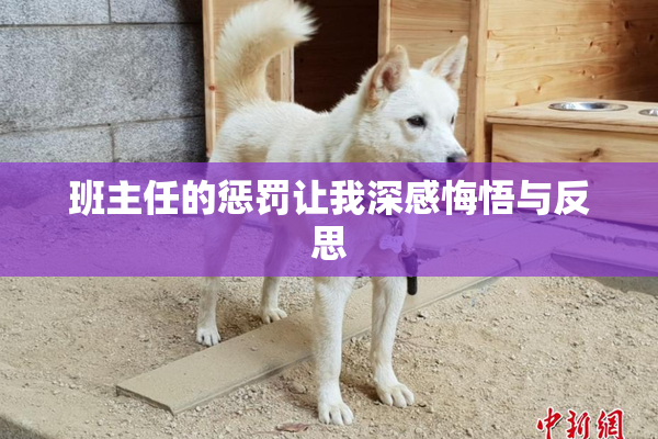 班主任的惩罚让我深感悔悟与反思