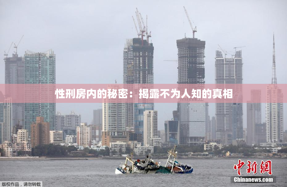 性刑房内的秘密：揭露不为人知的真相