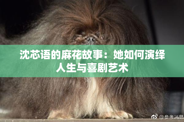 沈芯语的麻花故事：她如何演绎人生与喜剧艺术