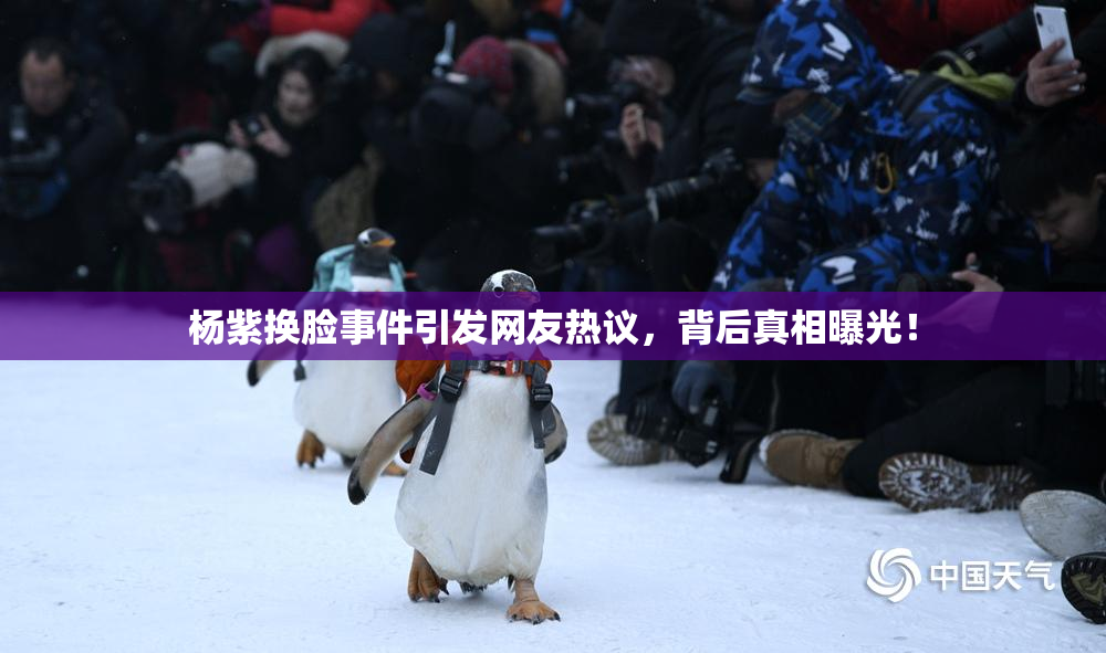 杨紫换脸事件引发网友热议，背后真相曝光！