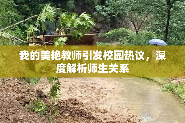 我的美艳教师引发校园热议，深度解析师生关系