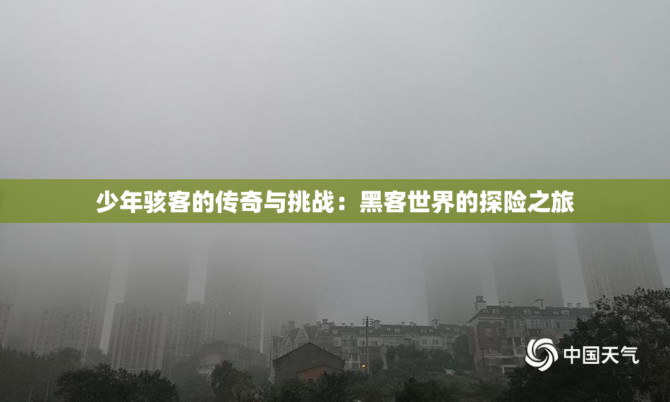少年骇客的传奇与挑战：黑客世界的探险之旅