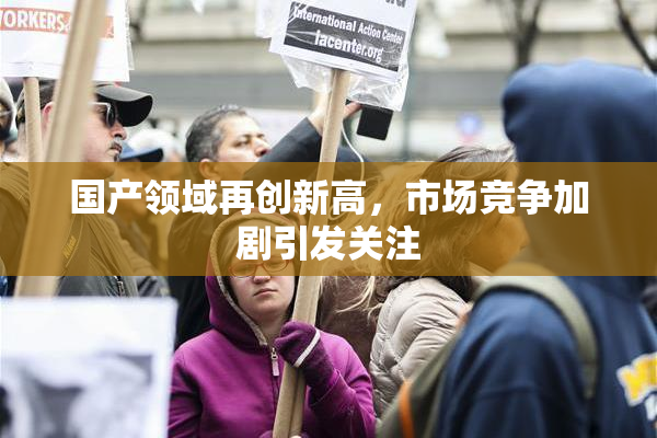 国产领域再创新高，市场竞争加剧引发关注