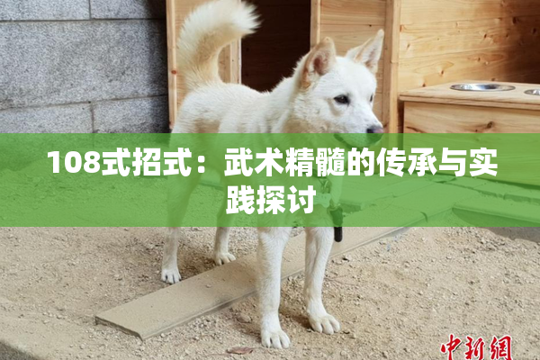 108式招式：武术精髓的传承与实践探讨