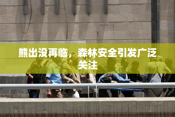 熊出没再临，森林安全引发广泛关注
