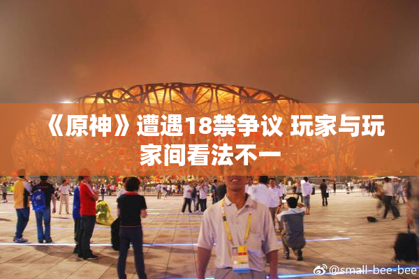 《原神》遭遇18禁争议 玩家与玩家间看法不一