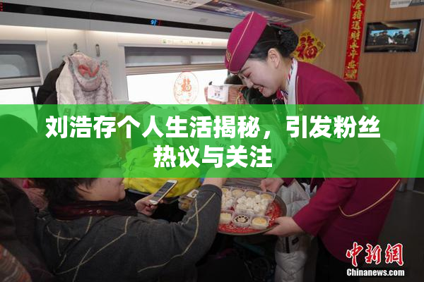 刘浩存个人生活揭秘，引发粉丝热议与关注