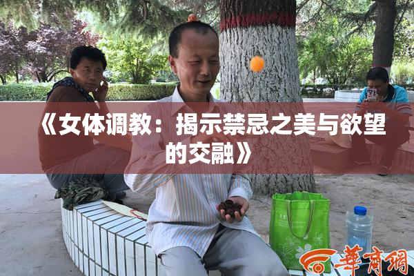 《女体调教：揭示禁忌之美与欲望的交融》