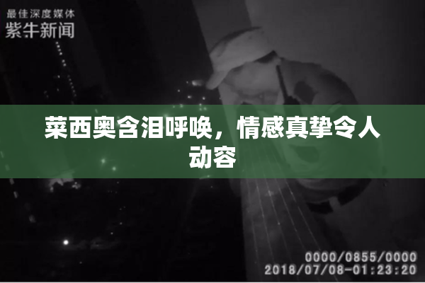 菜西奥含泪呼唤，情感真挚令人动容
