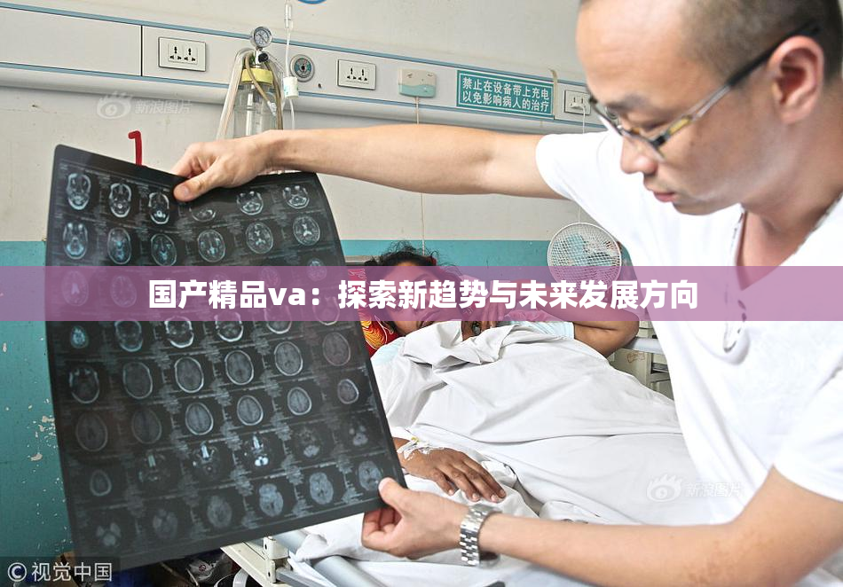 国产精品va：探索新趋势与未来发展方向