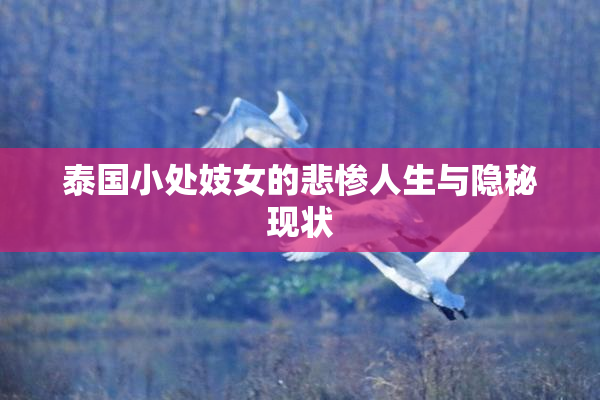 泰国小处妓女的悲惨人生与隐秘现状