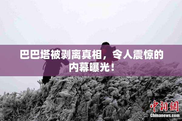 巴巴塔被剥离真相，令人震惊的内幕曝光！