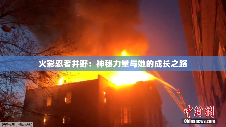 火影忍者井野：神秘力量与她的成长之路