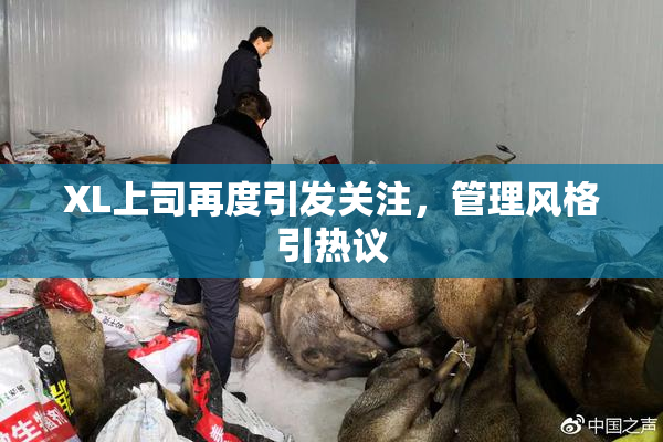 XL上司再度引发关注，管理风格引热议