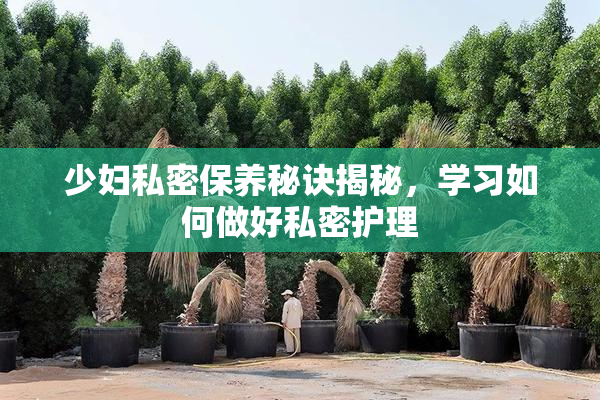 少妇私密保养秘诀揭秘，学习如何做好私密护理