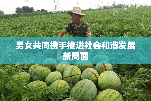 男女共同携手推进社会和谐发展新局面
