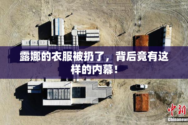露娜的衣服被扔了，背后竟有这样的内幕！