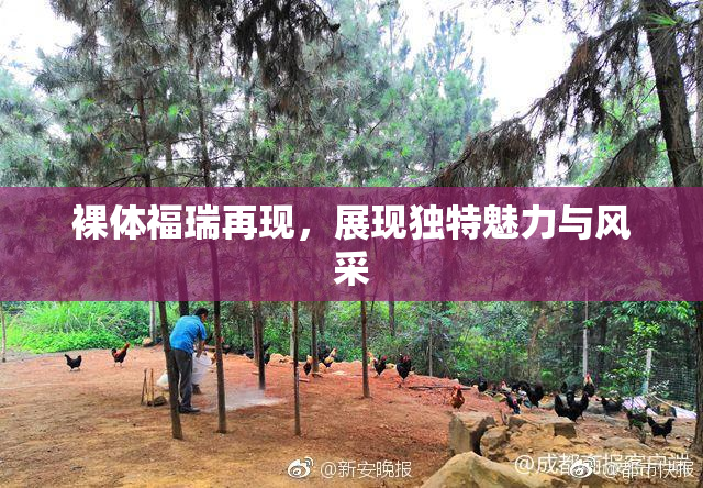 裸体福瑞再现，展现独特魅力与风采