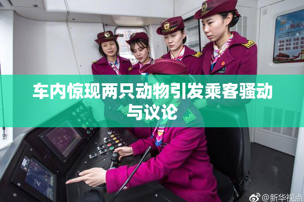 车内惊现两只动物引发乘客骚动与议论