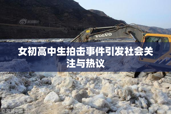 女初高中生拍击事件引发社会关注与热议