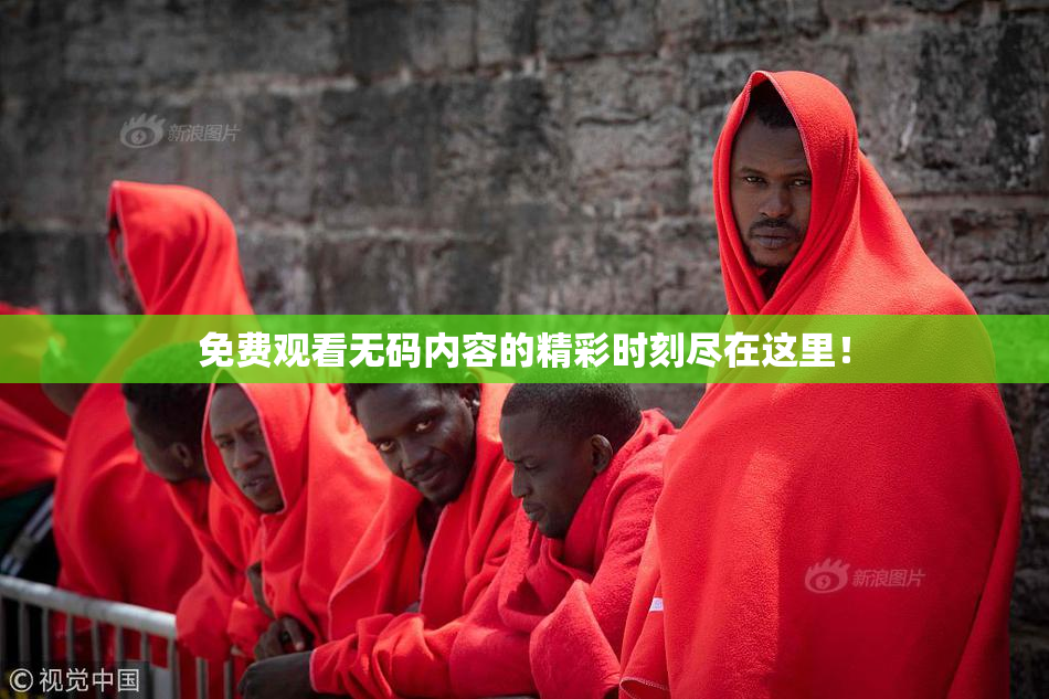 免费观看无码内容的精彩时刻尽在这里！