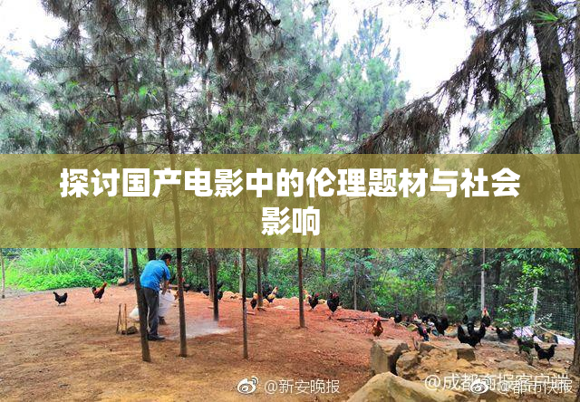 探讨国产电影中的伦理题材与社会影响