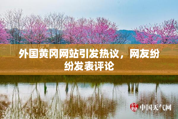 外国黄冈网站引发热议，网友纷纷发表评论