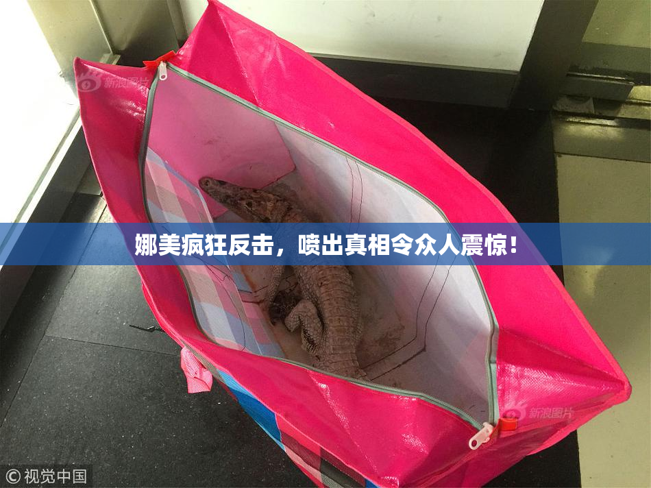 娜美疯狂反击，喷出真相令众人震惊！