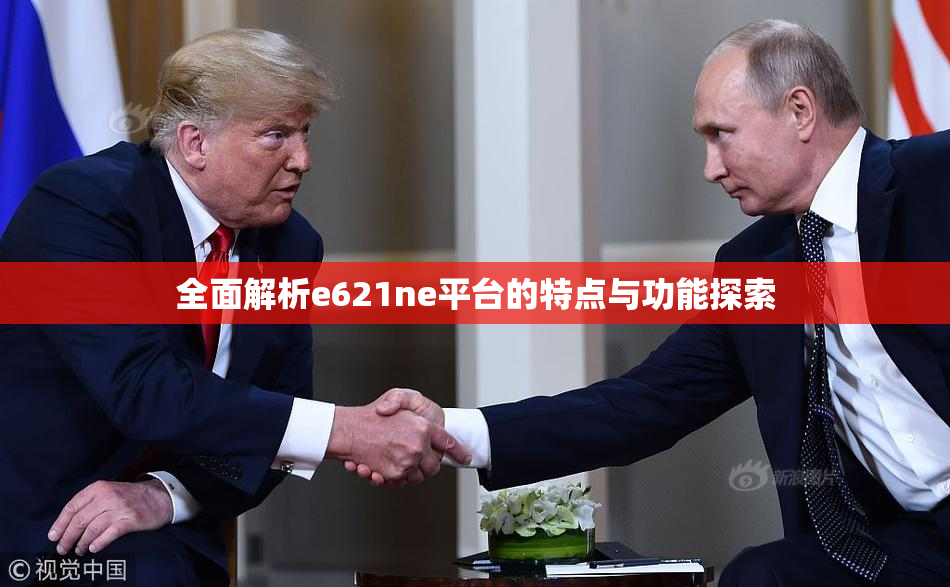 全面解析e621ne平台的特点与功能探索